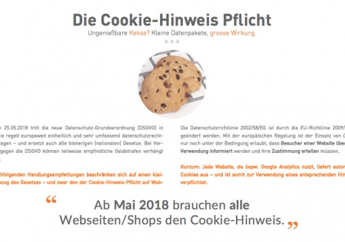 Cookie-Hinweis Handlungsempfehlungen