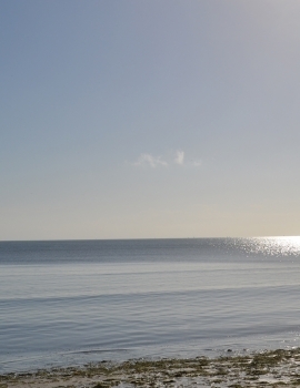 Oceanic Bay Hotel & Resort