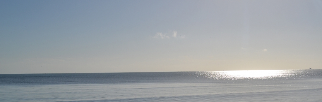 Oceanic Bay Hotel & Resort