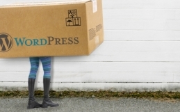 burnabit empfiehlt WordPress für kleine bis mittlere Webseiten