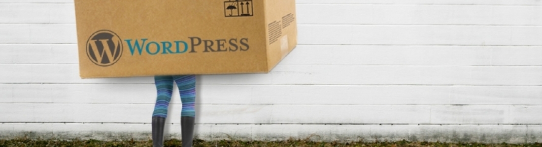 burnabit empfiehlt WordPress für kleine bis mittlere Webseiten