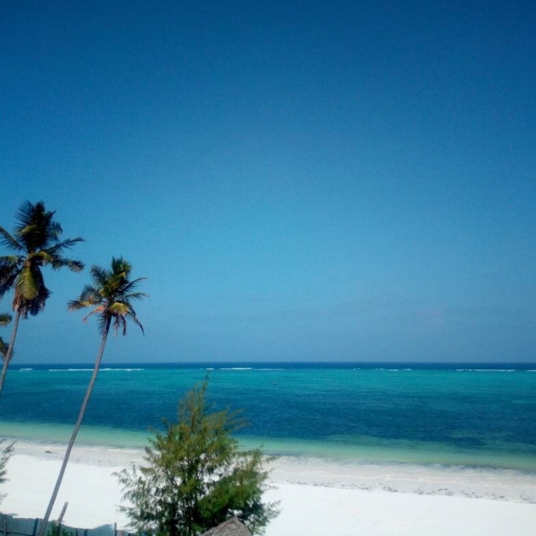 Wordpress Webseite Mandhari Villa Hotel & Resort Zanzibar